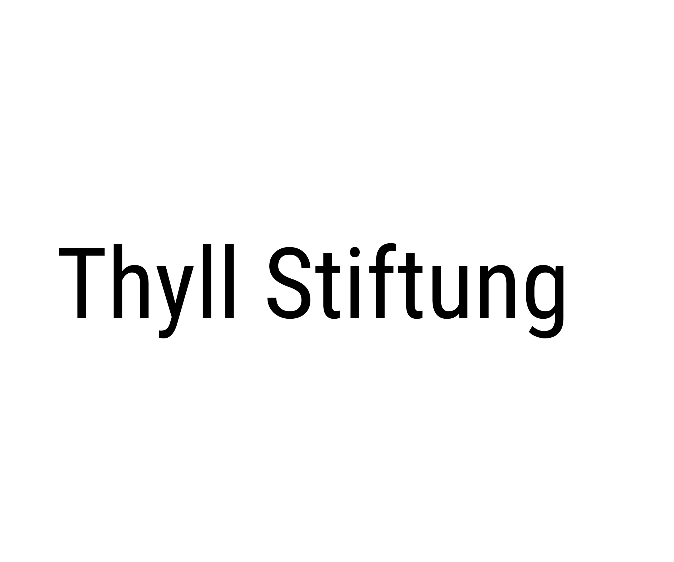 thyll-stiftung.png